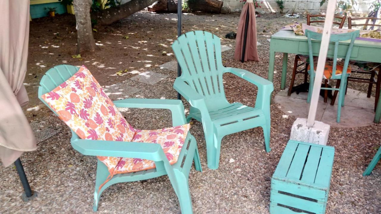 Sardinia Eco Vegan House Bed & Breakfast Zeddiani Ngoại thất bức ảnh