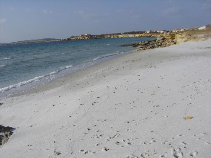 Sardinia Eco Vegan House Bed & Breakfast Zeddiani Ngoại thất bức ảnh