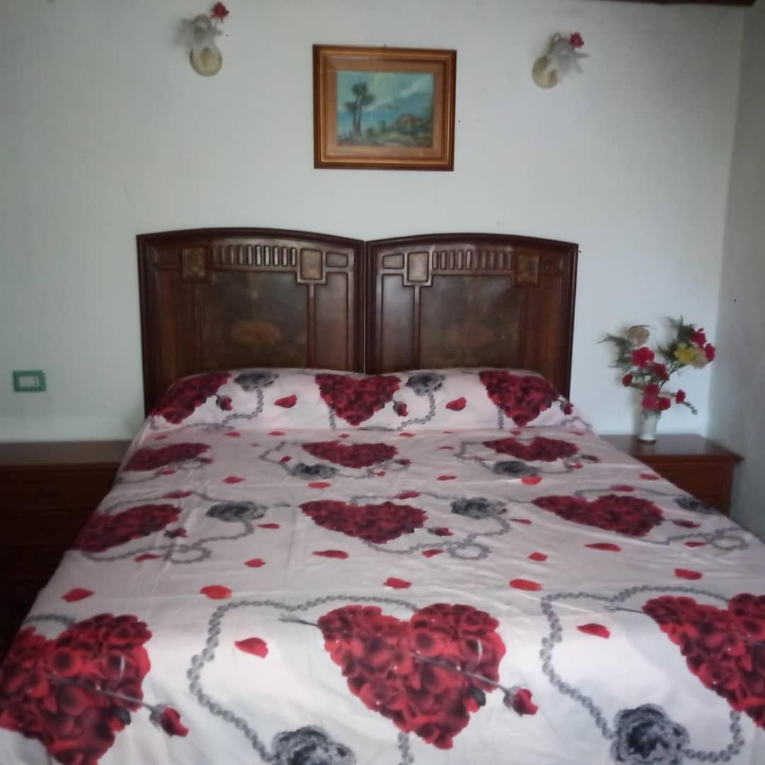 Sardinia Eco Vegan House Bed & Breakfast Zeddiani Ngoại thất bức ảnh