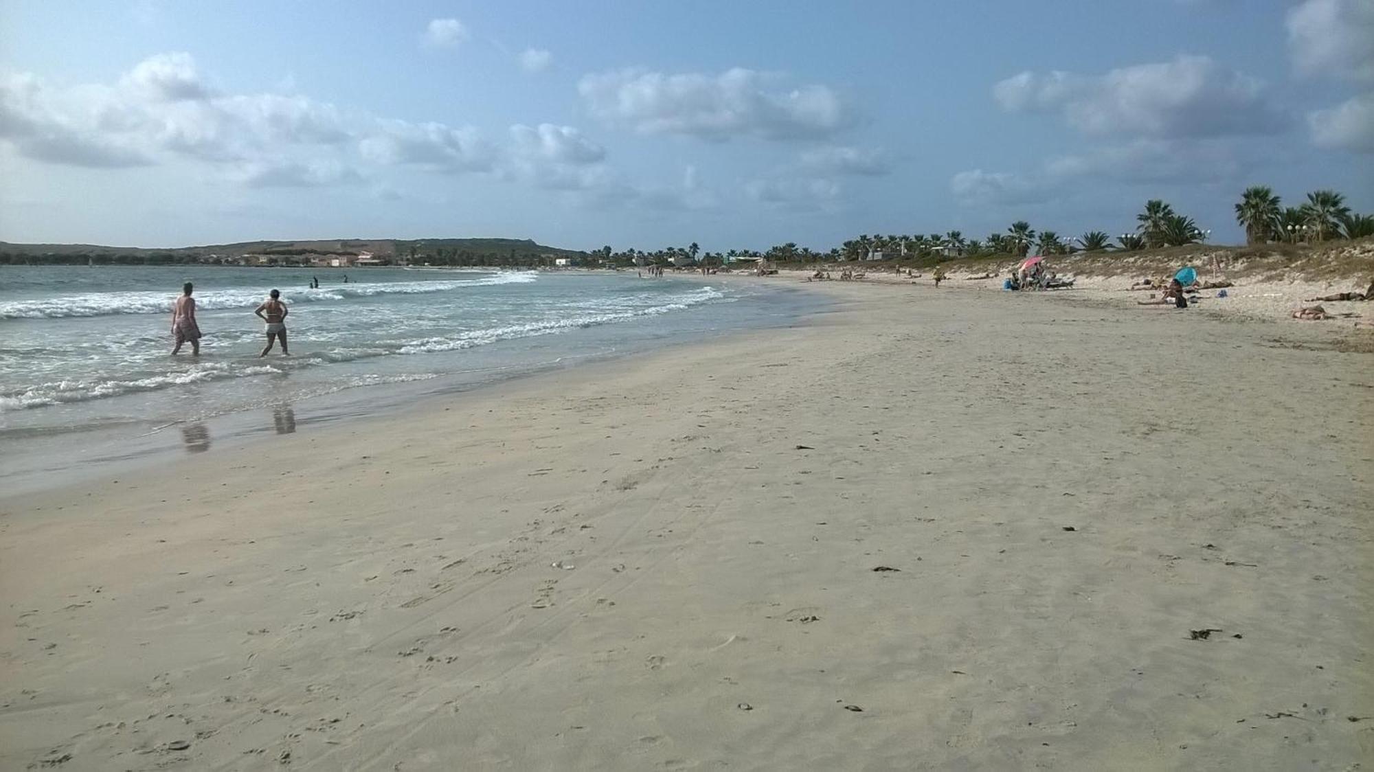 Sardinia Eco Vegan House Bed & Breakfast Zeddiani Ngoại thất bức ảnh